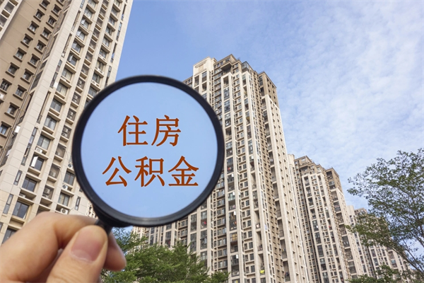 宁津提取公积金正规中介（提取公积金 正规中介）